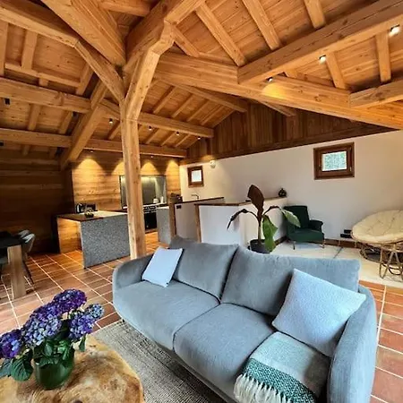 Chalet Le Petit Paradis - Chamonix-mont-blanc Alpehytte